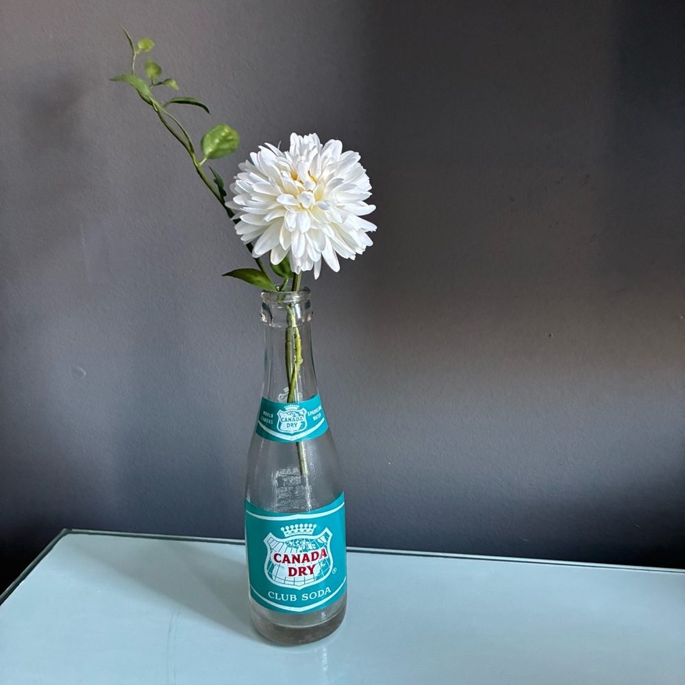 Vintage Canada Dry Club Soda Glass Bottle Vase